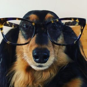 Meet your Posher, Mathew